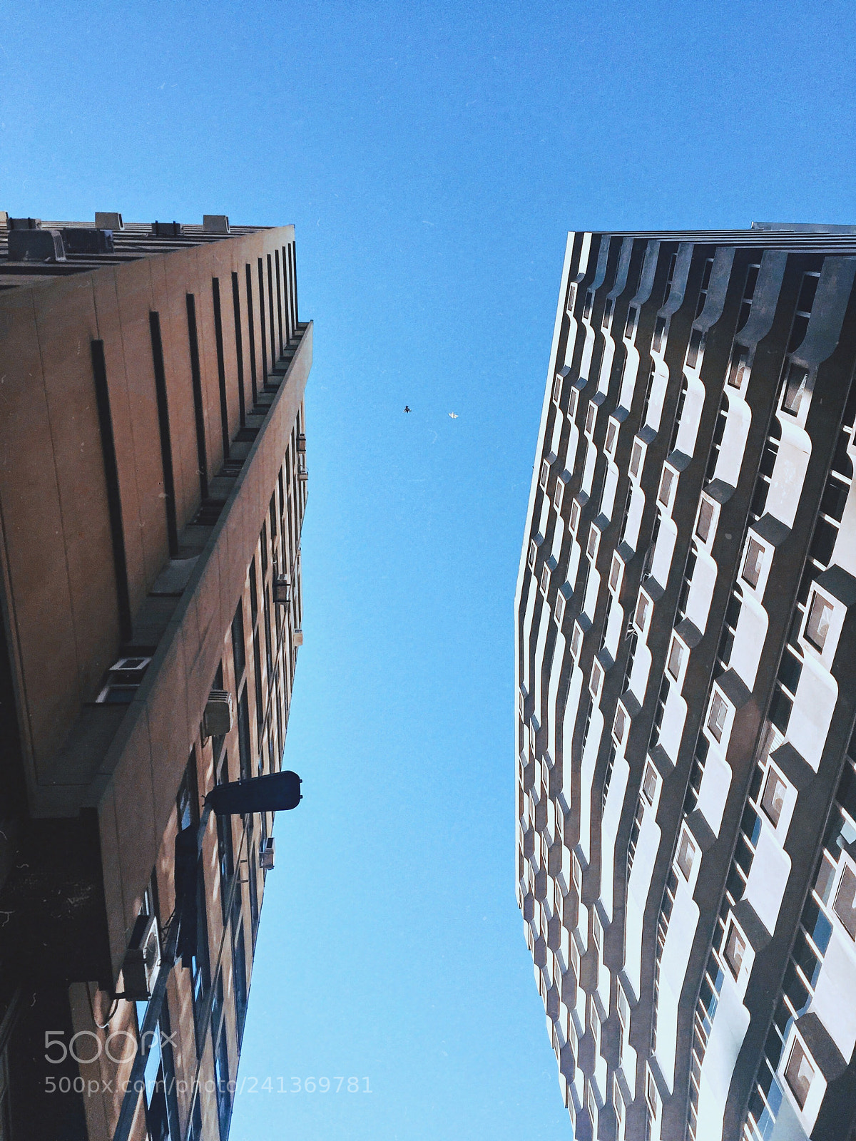 Apple iPhone 6 sample photo. H i g h 4 photography