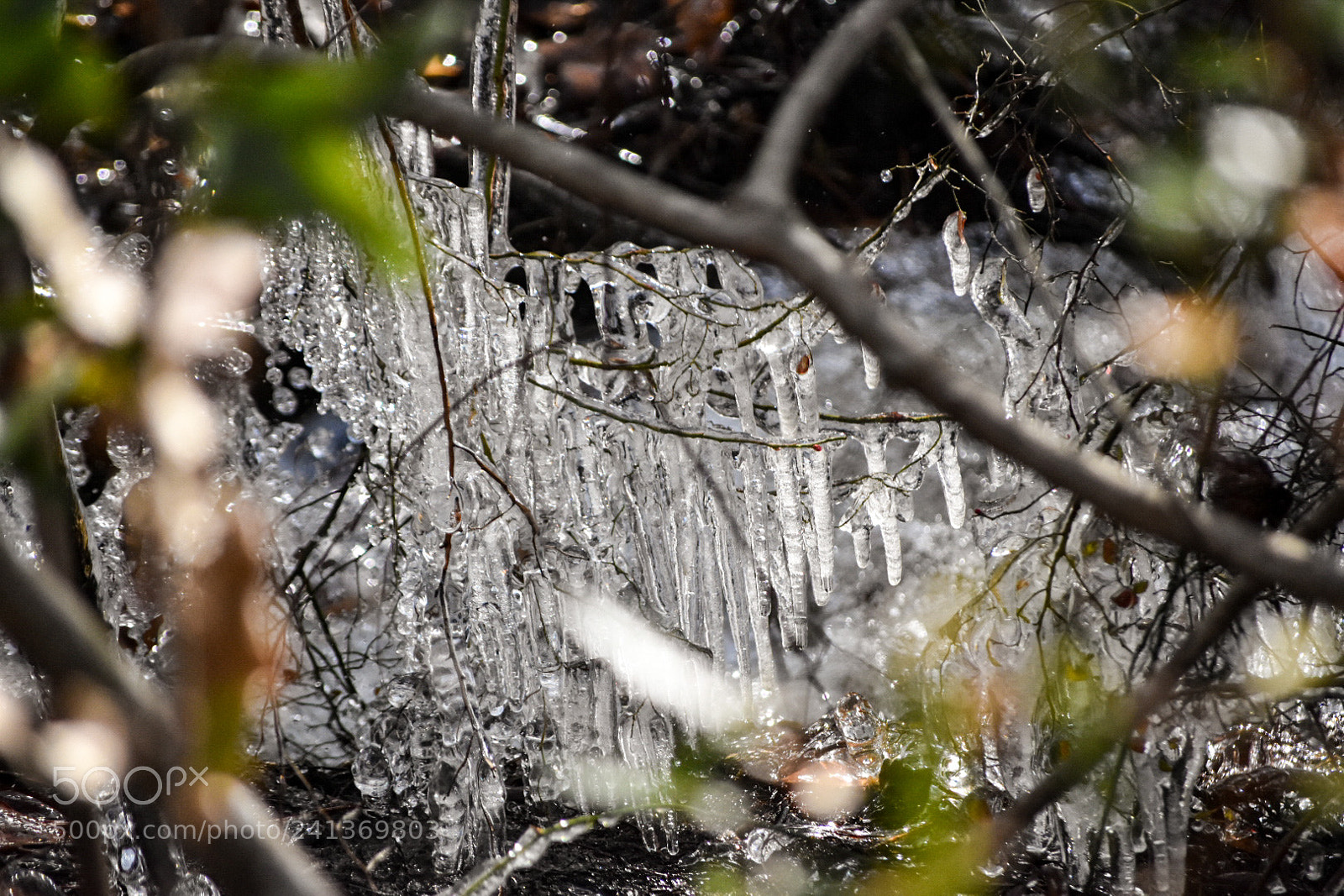 Nikon D3400 sample photo. Frozen photography