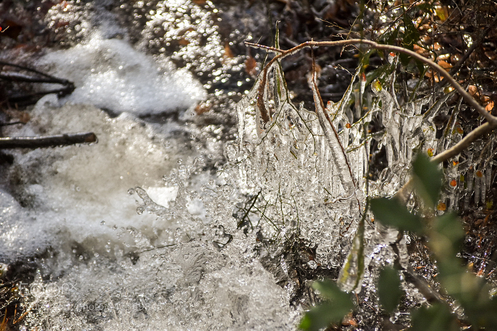 Nikon D3400 sample photo. Moving photography