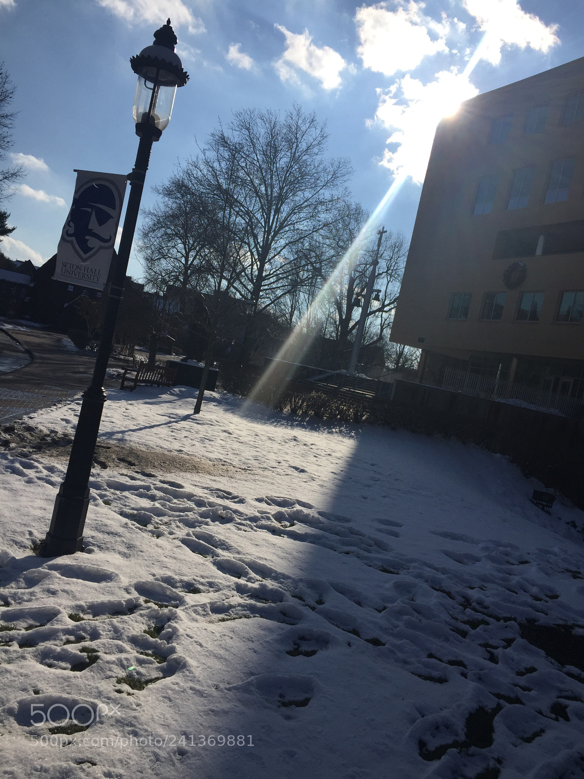 Apple iPhone 6 sample photo. Snowy decembre photography