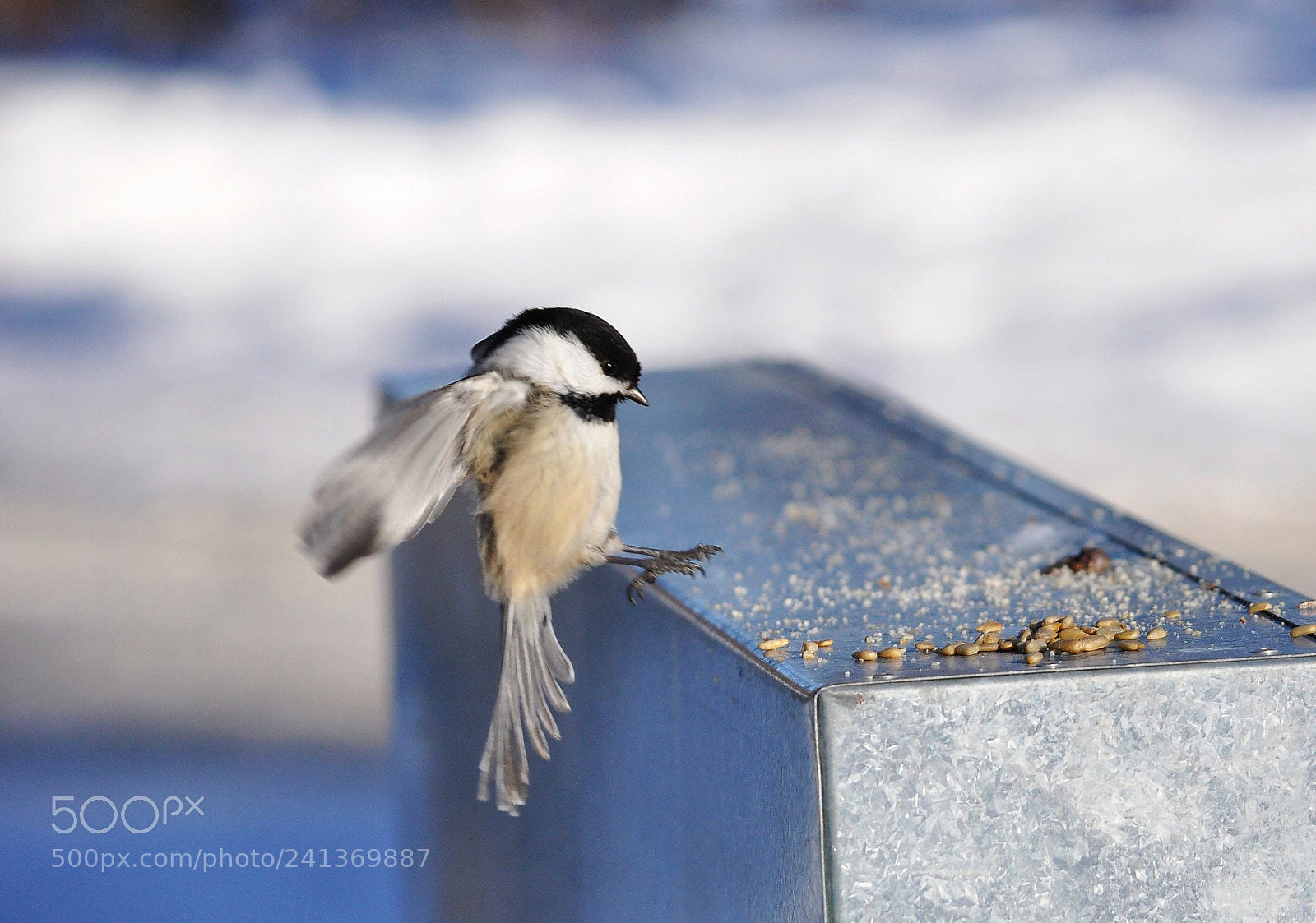 Nikon D90 sample photo. Landing photography