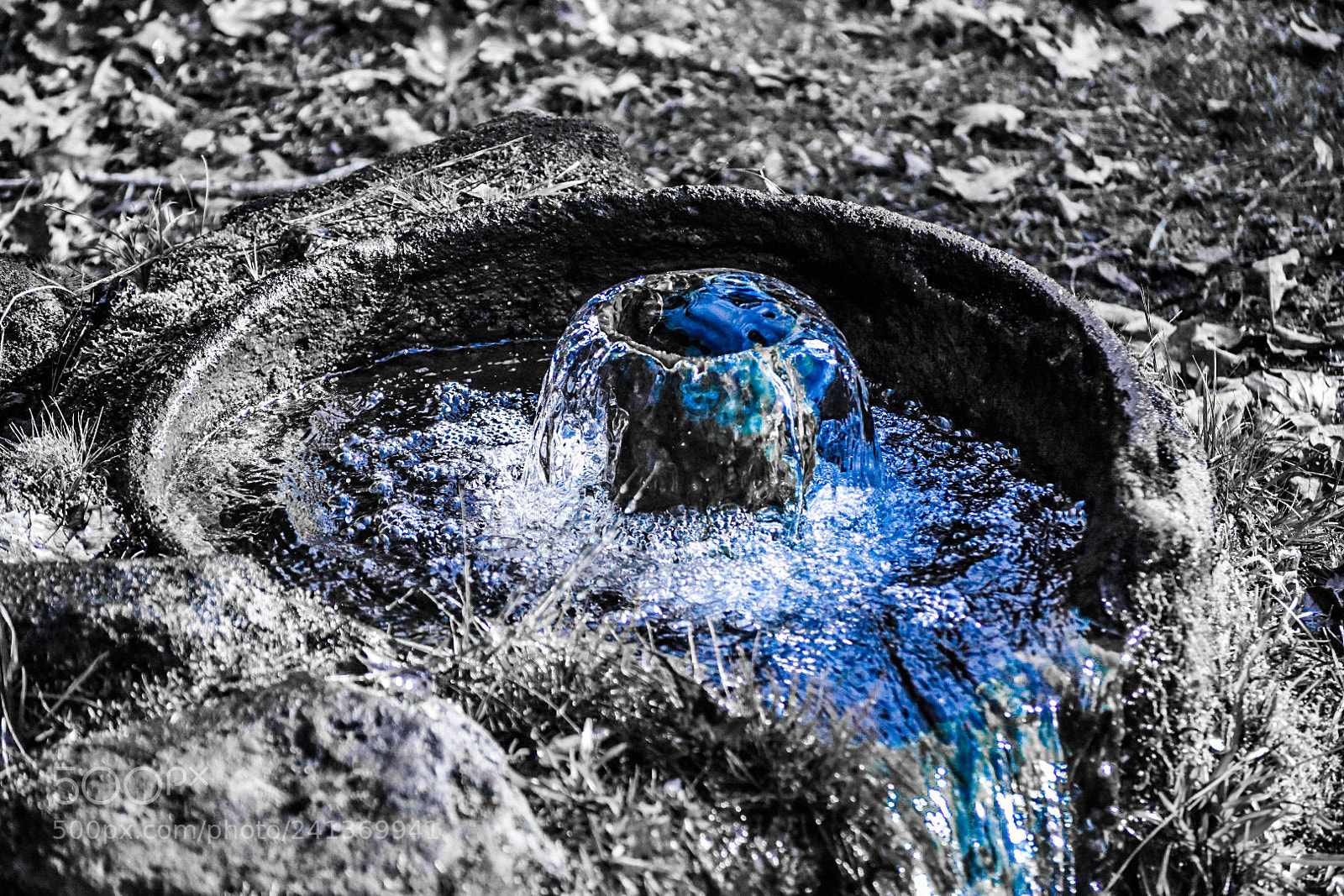 Nikon D3400 sample photo. Blue photography