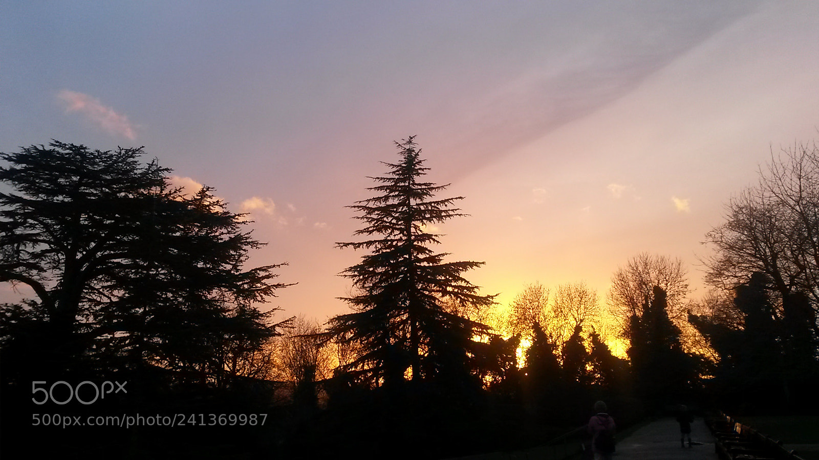 Samsung Galaxy S4 Mini sample photo. A winter walk photography