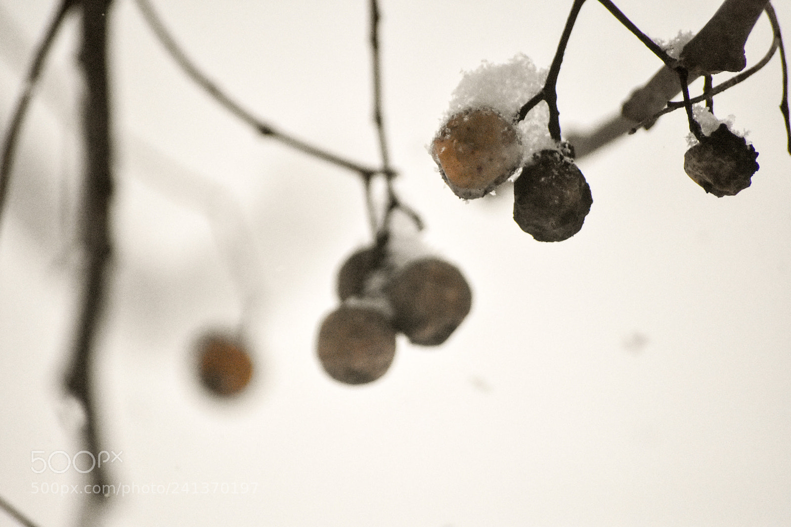 Nikon D3400 sample photo. Simple photography