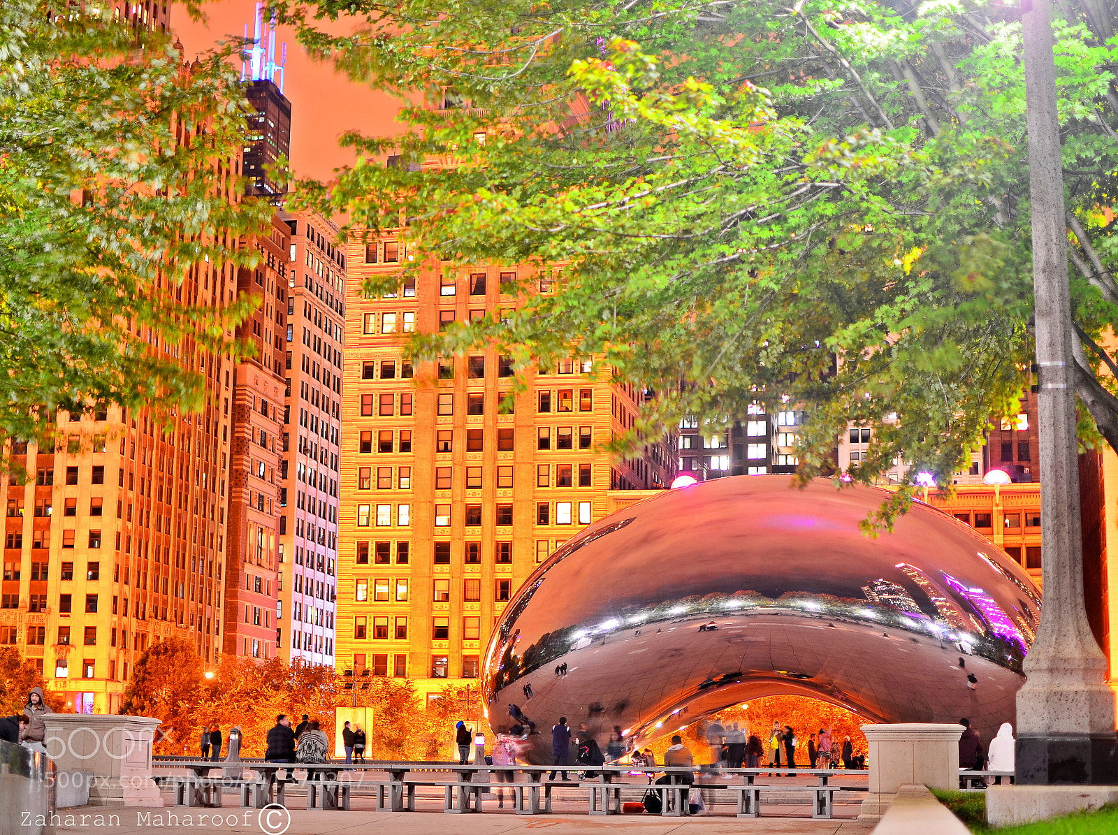 Nikon D5100 + Nikon AF-S DX Nikkor 35mm F1.8G sample photo. The bean chicago and photography