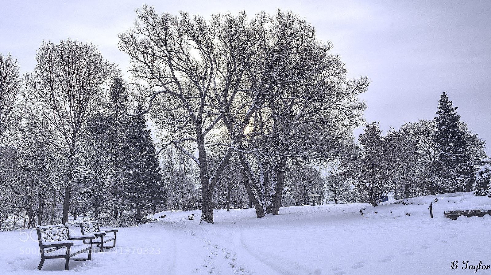 Sony SLT-A57 sample photo. Fresh snow park photography
