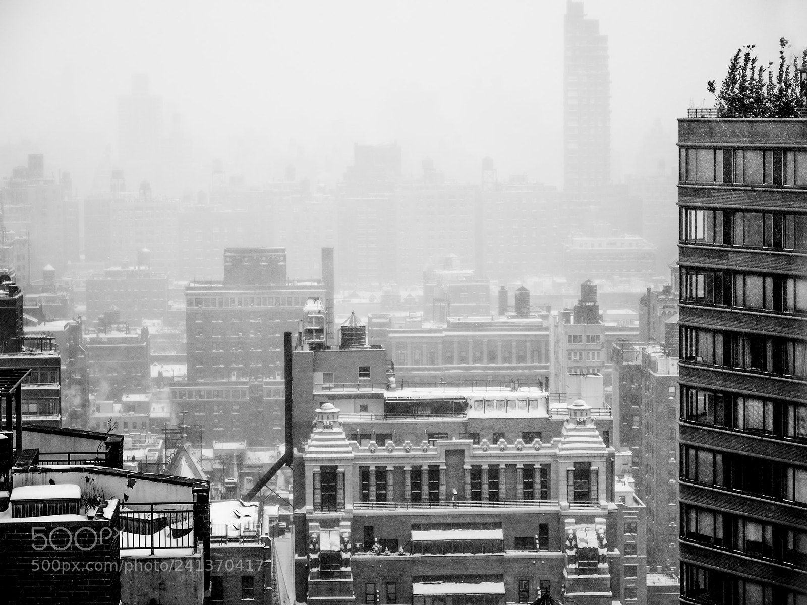 Panasonic Lumix DC-GH5 sample photo. Upper west side under photography