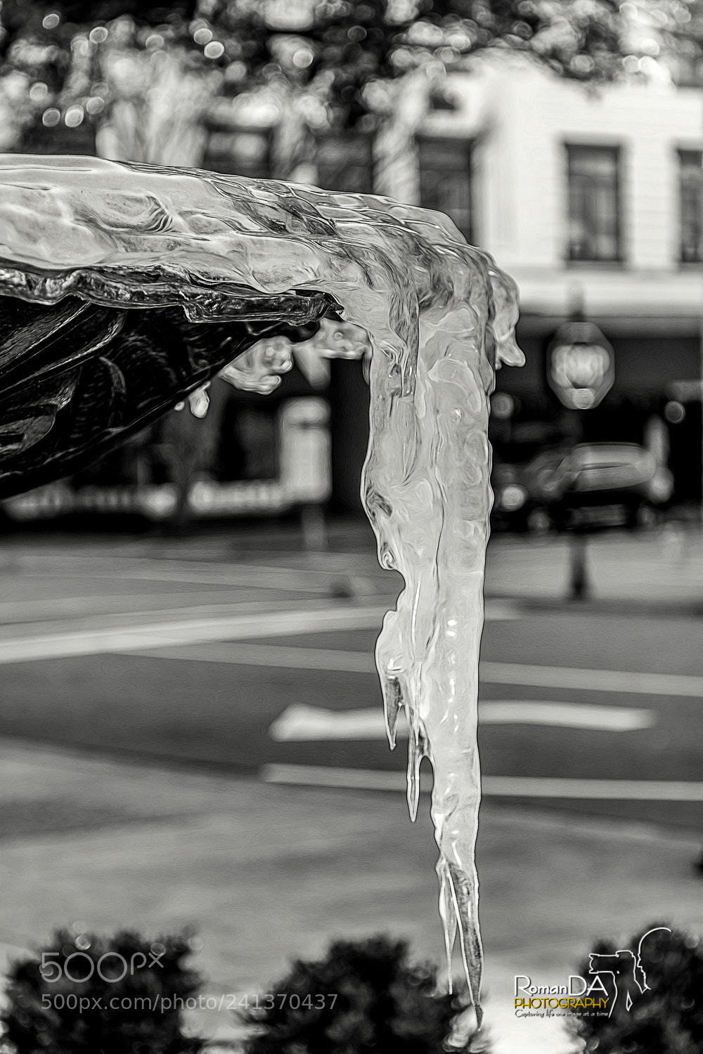 Nikon D7200 sample photo. Hanging on the edge photography