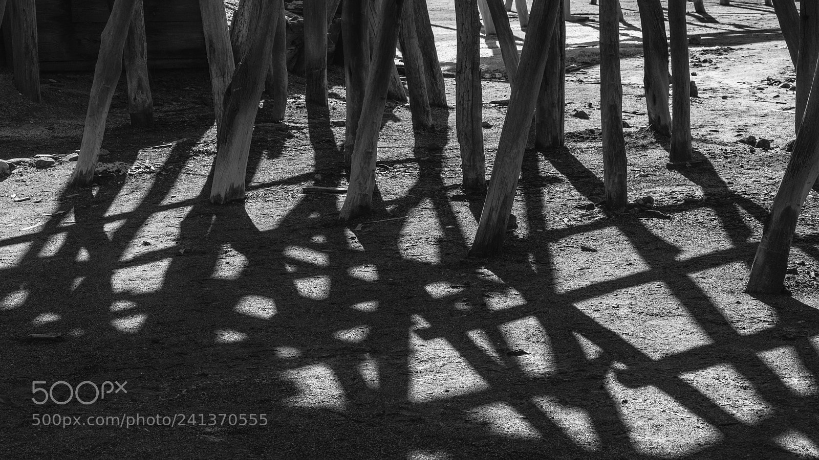 Nikon D7200 sample photo. Prevailing shadows photography
