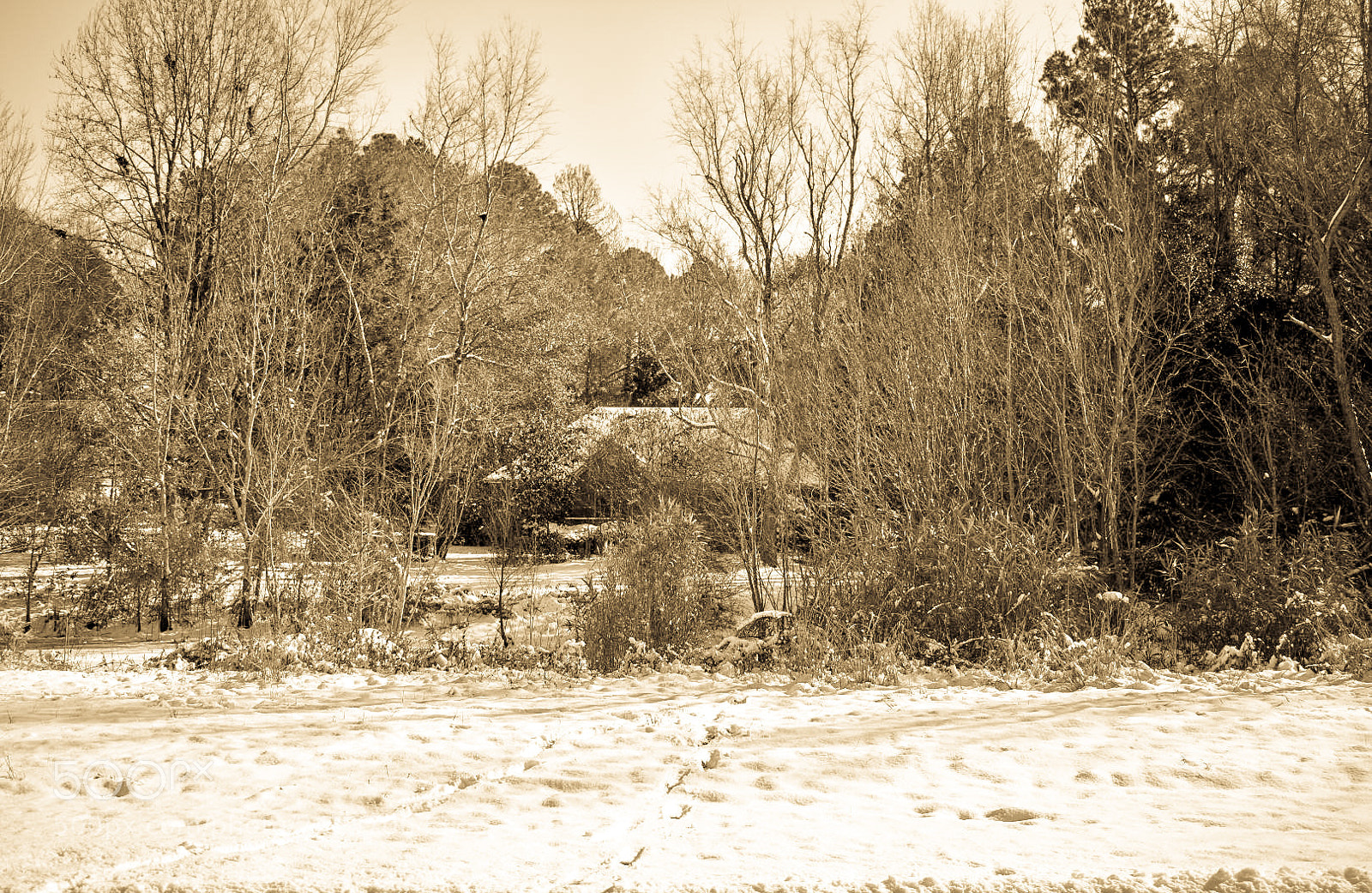 Nikon D3400 sample photo. Lost photography