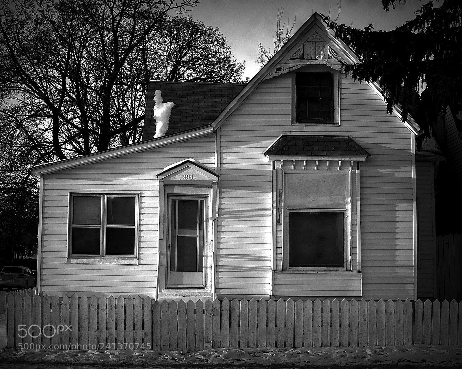 Nikon D500 sample photo. White house. windsor, on. photography