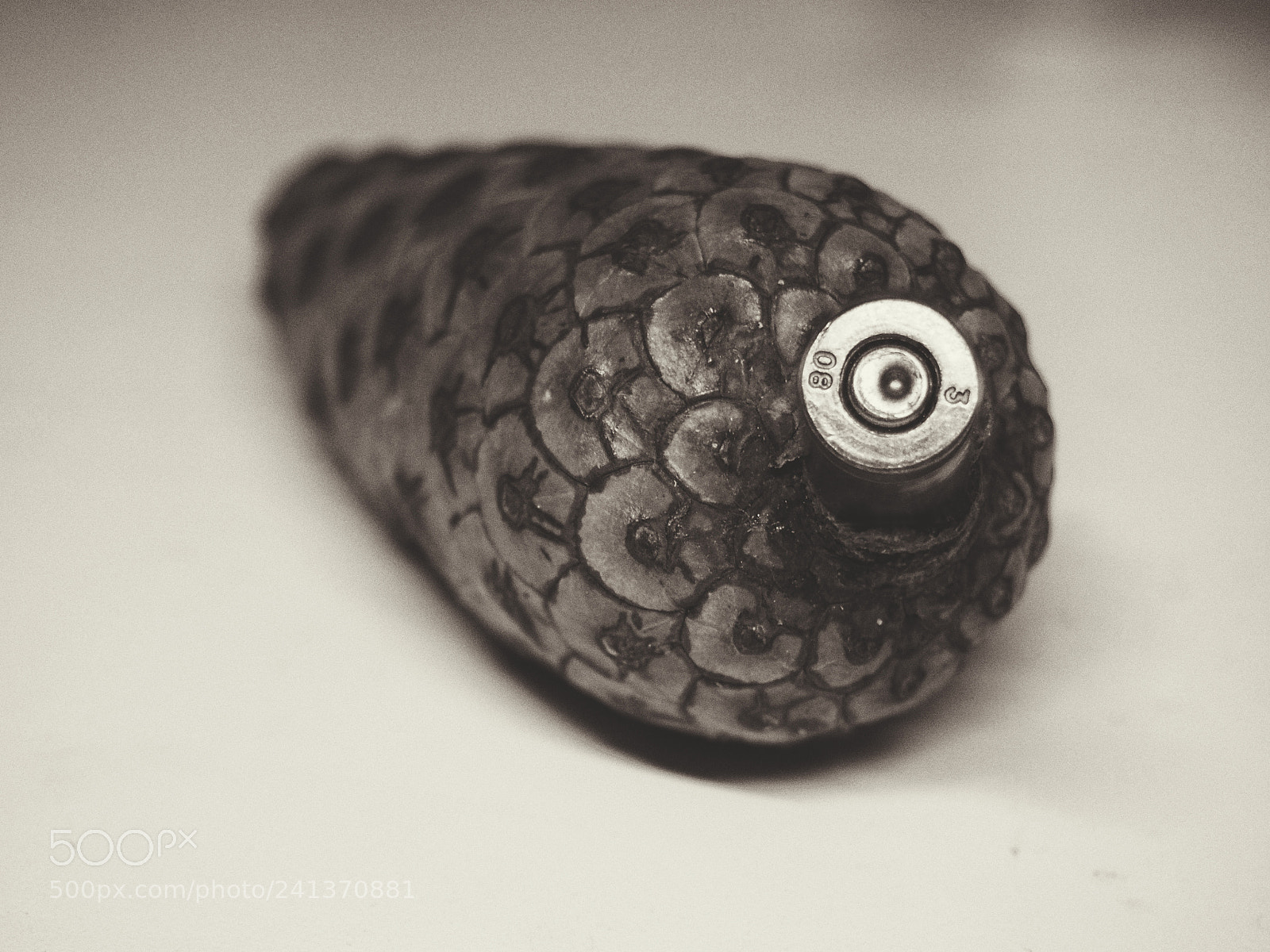 Olympus PEN E-PL6 sample photo. Shooting fir-cone photography