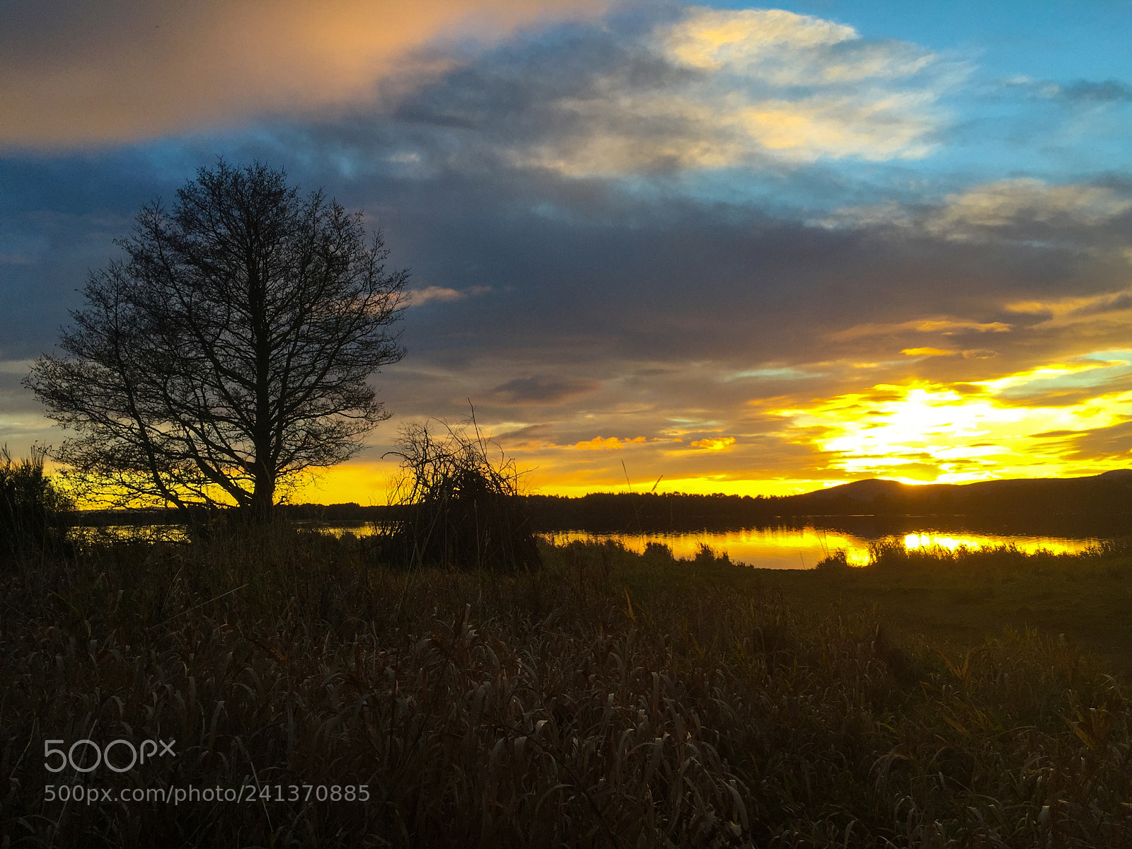 Apple iPhone 6 sample photo. Golden sunset on the photography