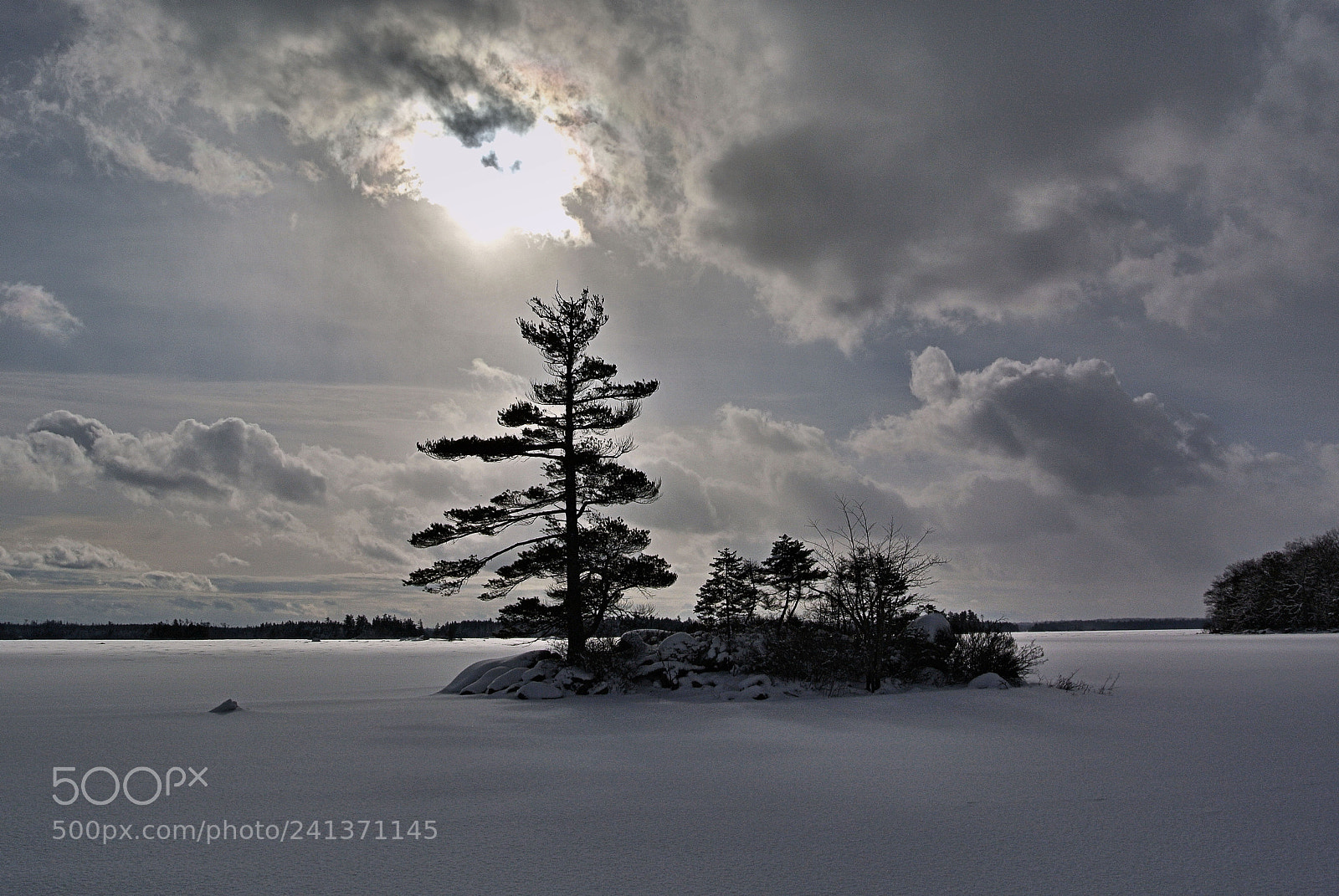 Nikon 1 V1 sample photo. Island in the winter photography
