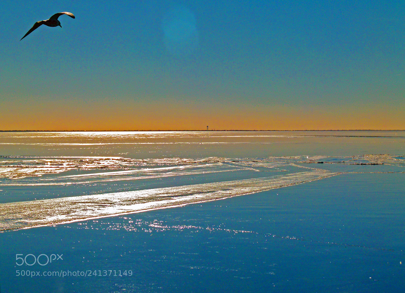 Panasonic Lumix DMC-FZ100 sample photo. This ice bird has photography