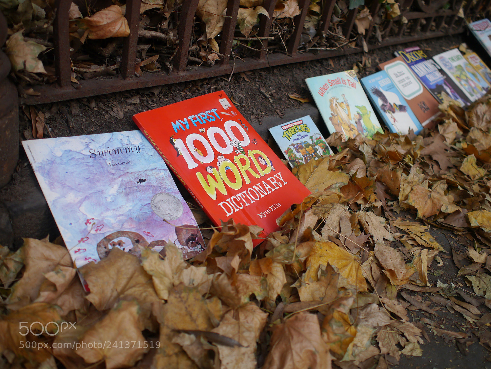 Panasonic Lumix DMC-GX1 sample photo. Street reading photography