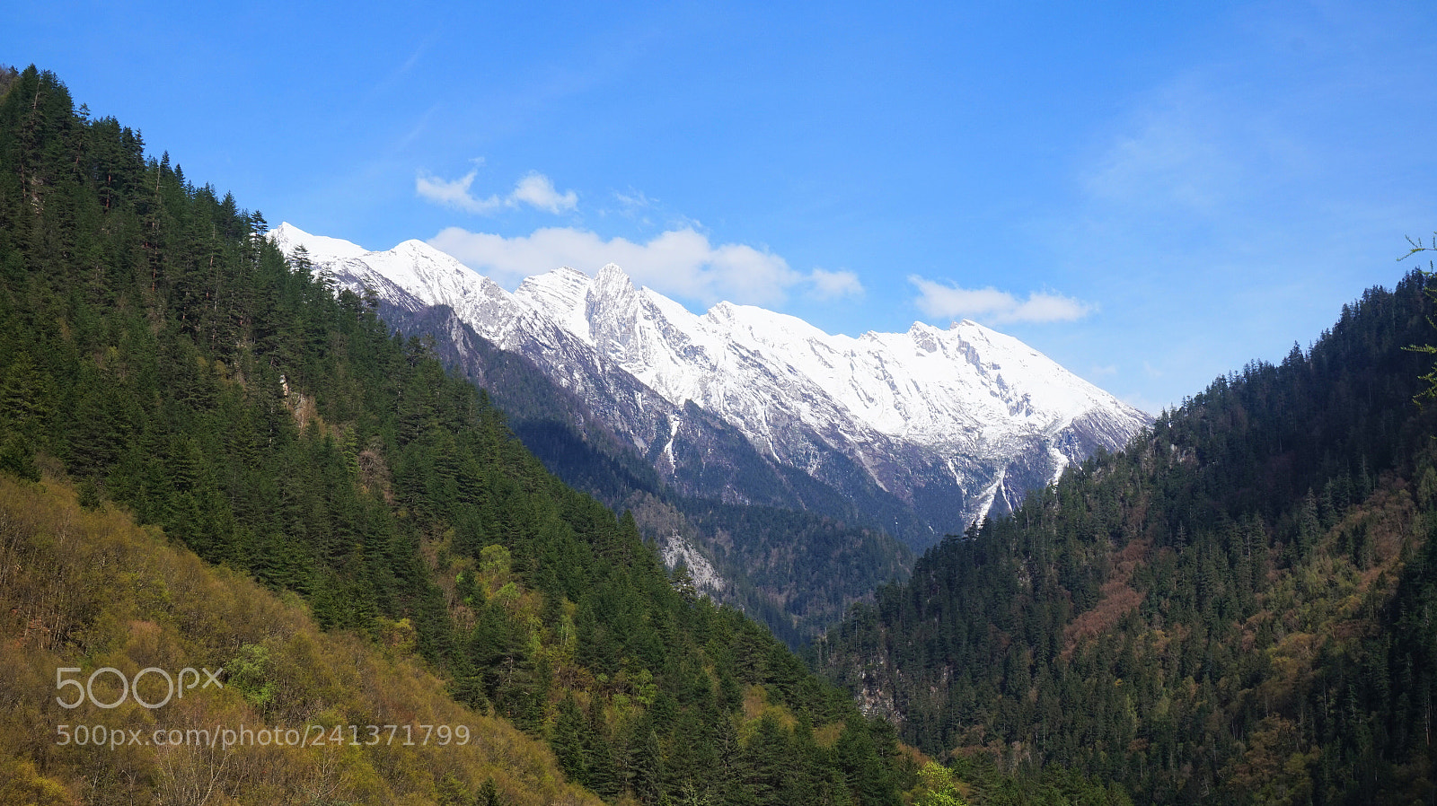 Sony Alpha a5000 (ILCE 5000) sample photo. 雪山 photography