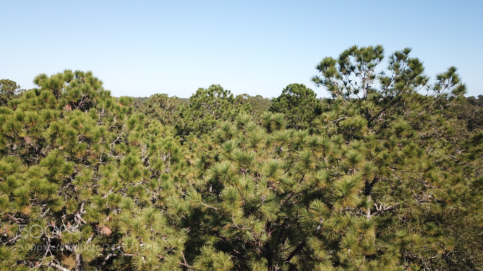 DJI FC220 sample photo. Dcim\100media\dji_0047.jpg photography