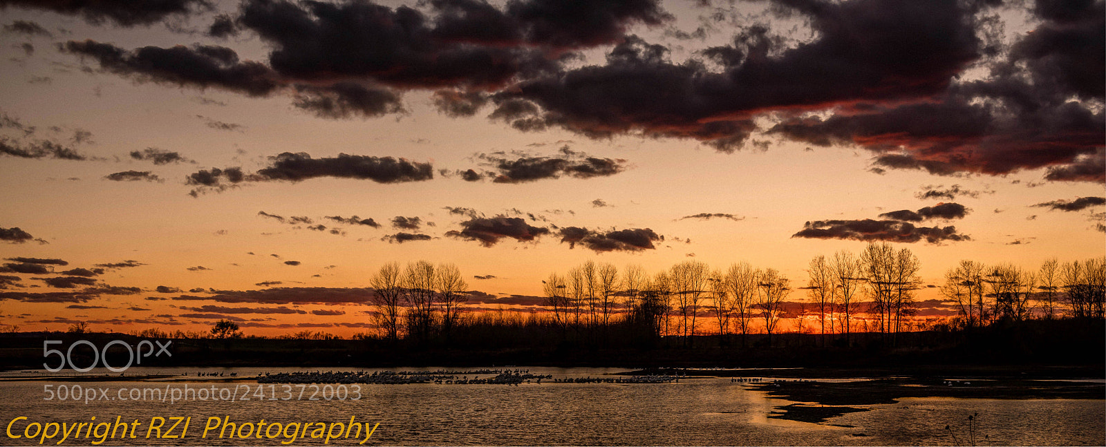 Nikon D810 sample photo. 栖息pelican lake photography