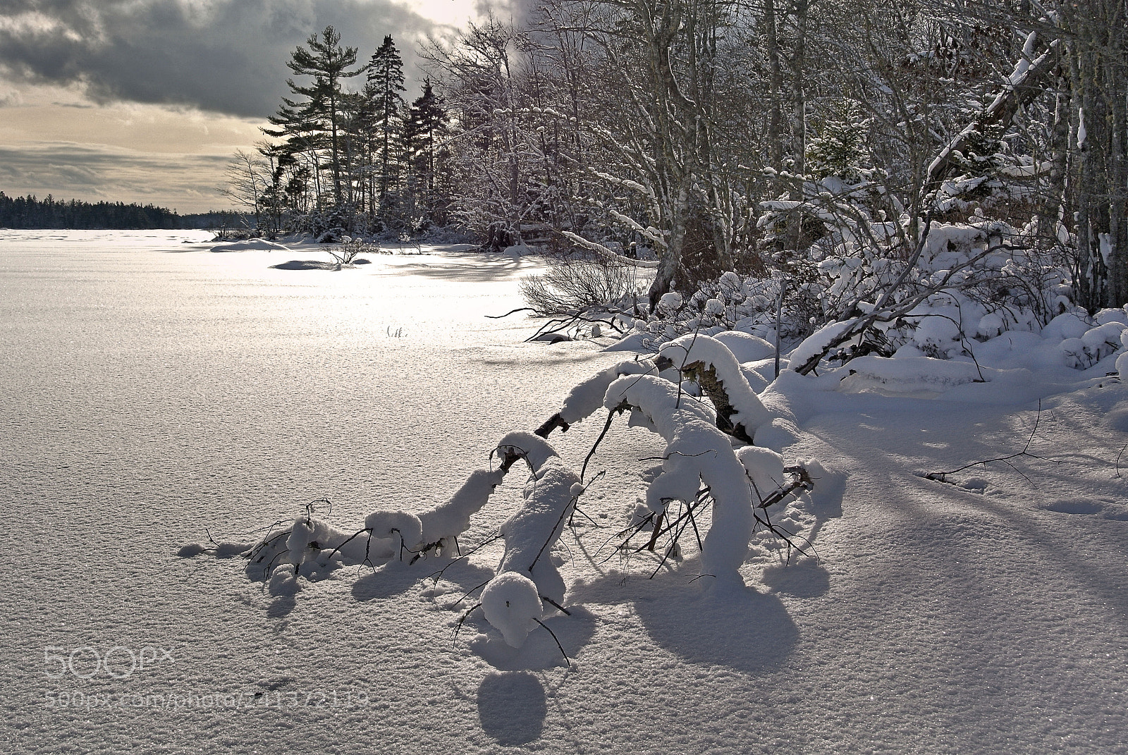 Nikon 1 V1 sample photo. Winter wonderland on gaspereau photography