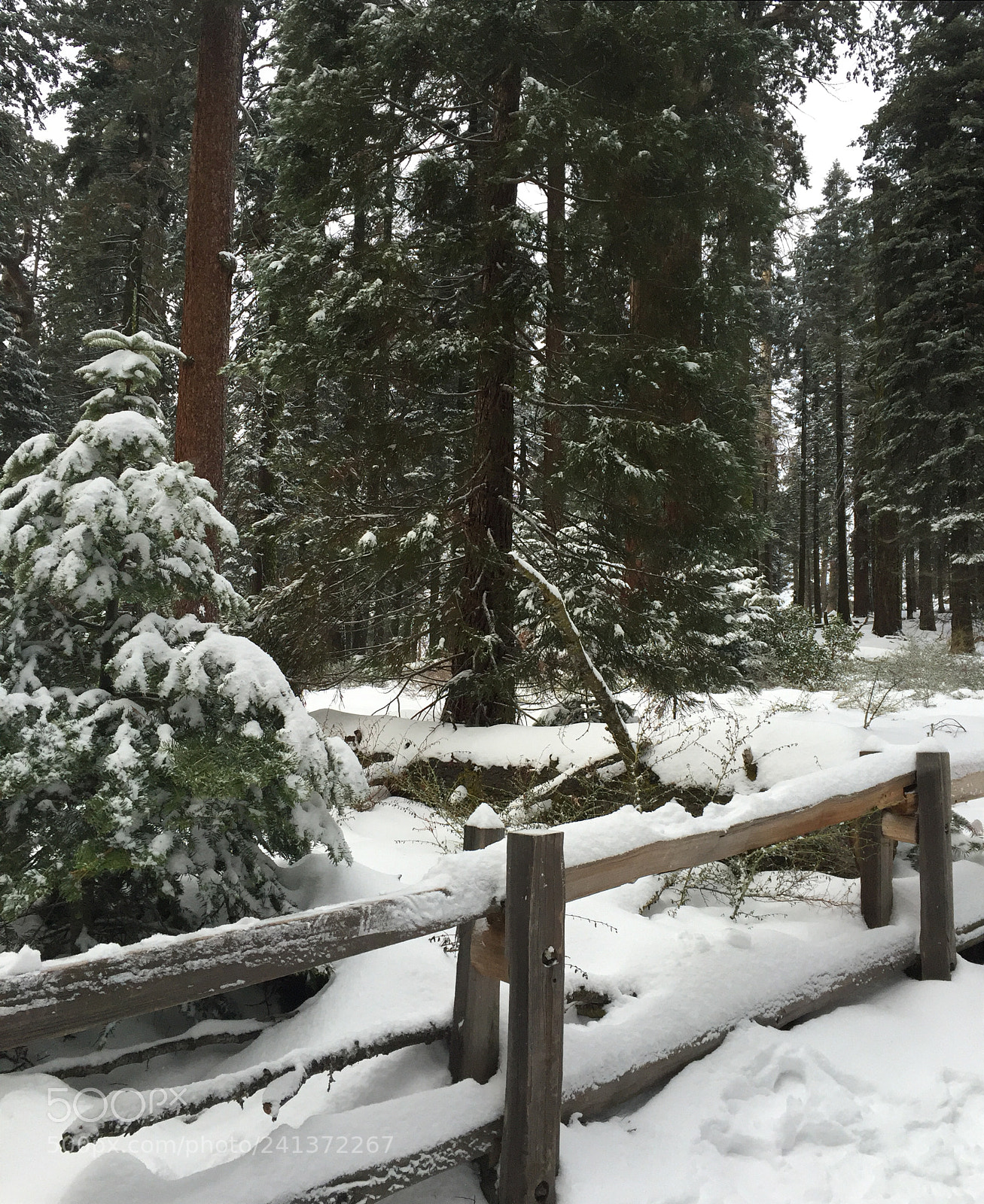 Apple iPhone 6 sample photo. Winter trip photography