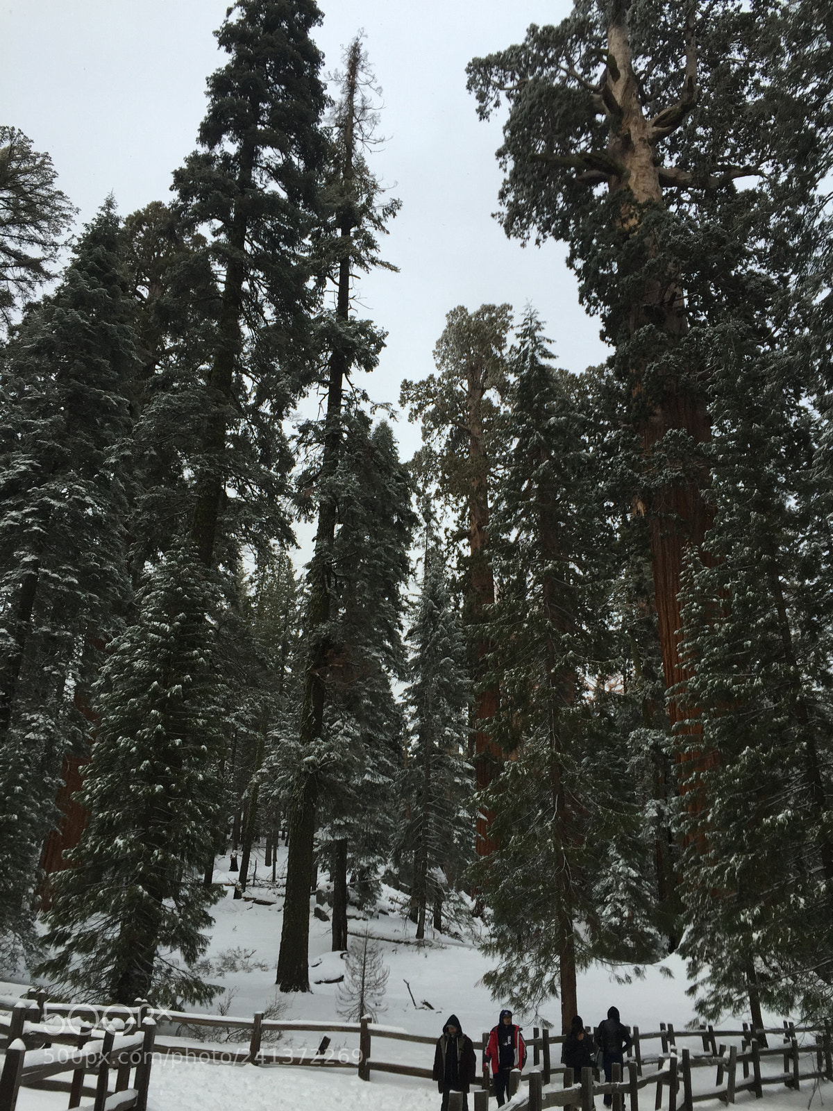 Apple iPhone 6 sample photo. Winter trip photography