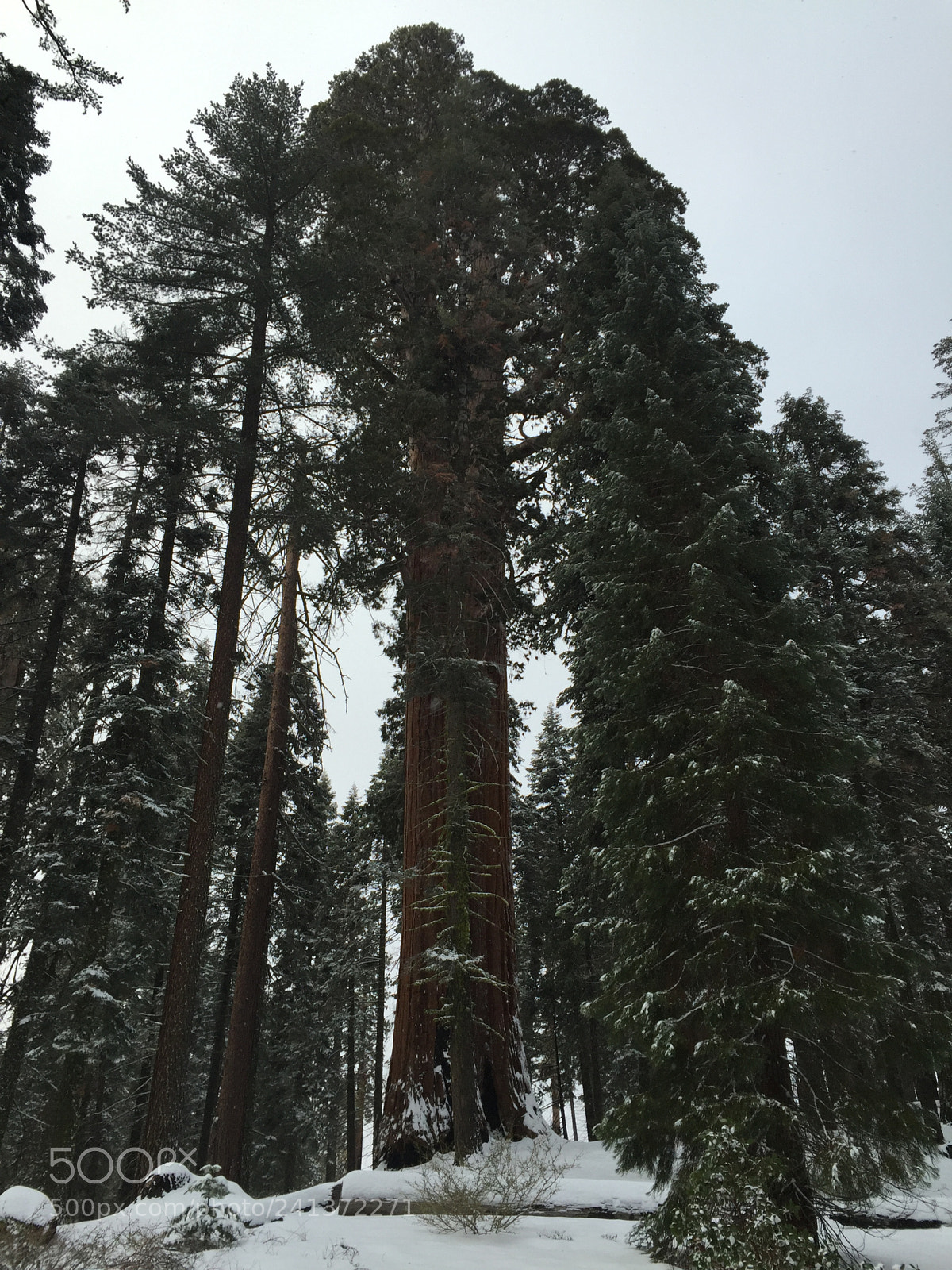 Apple iPhone 6 sample photo. Winter trip photography