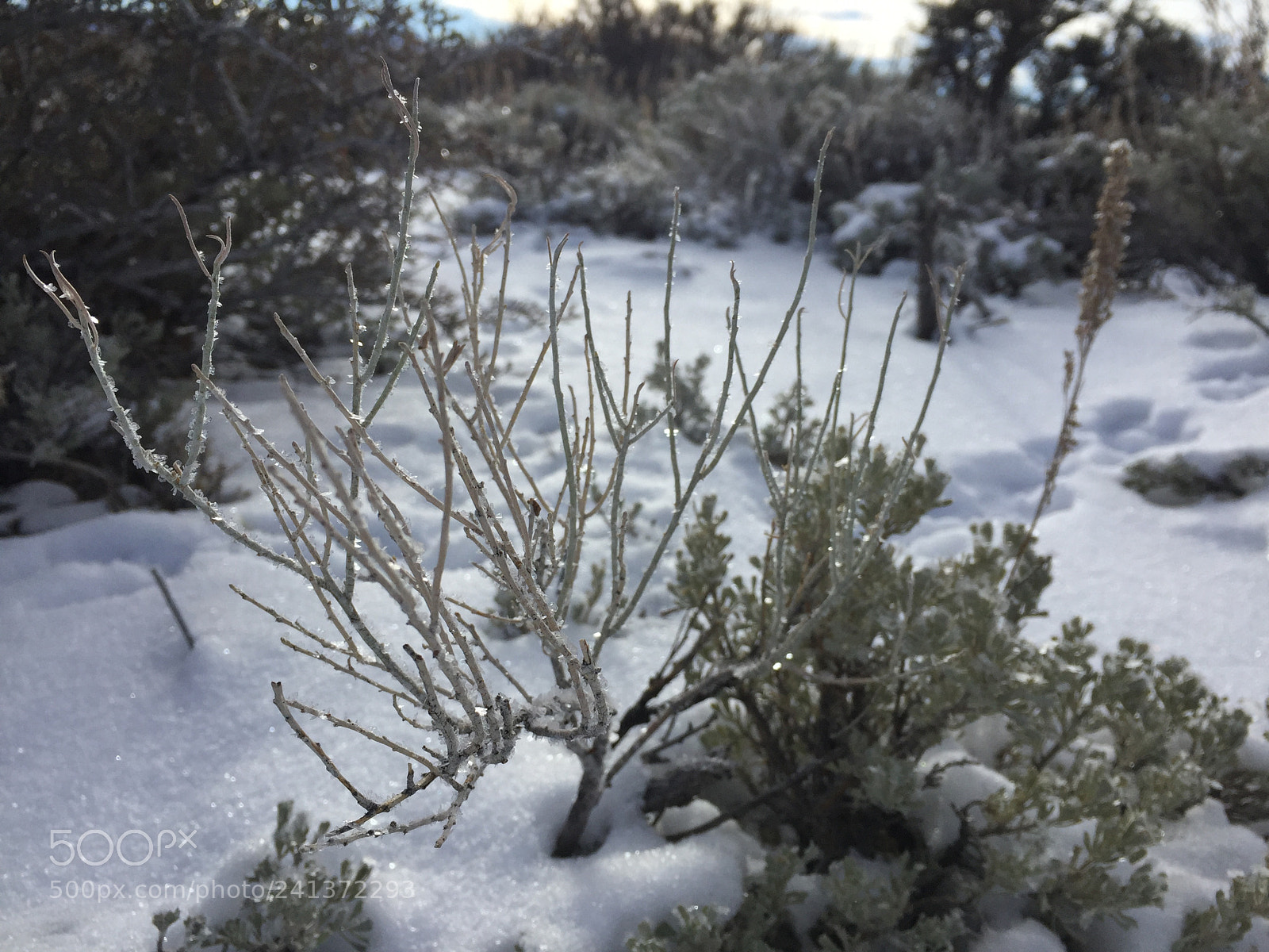 Apple iPhone 6 sample photo. Winter trip photography