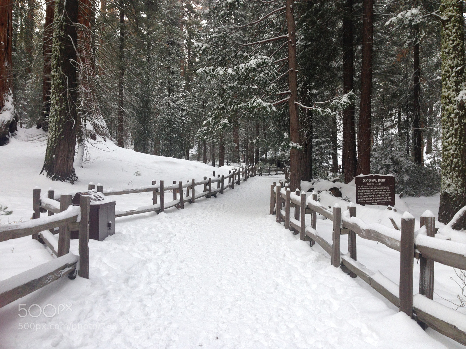 Apple iPhone 5 sample photo. Winter trip photography