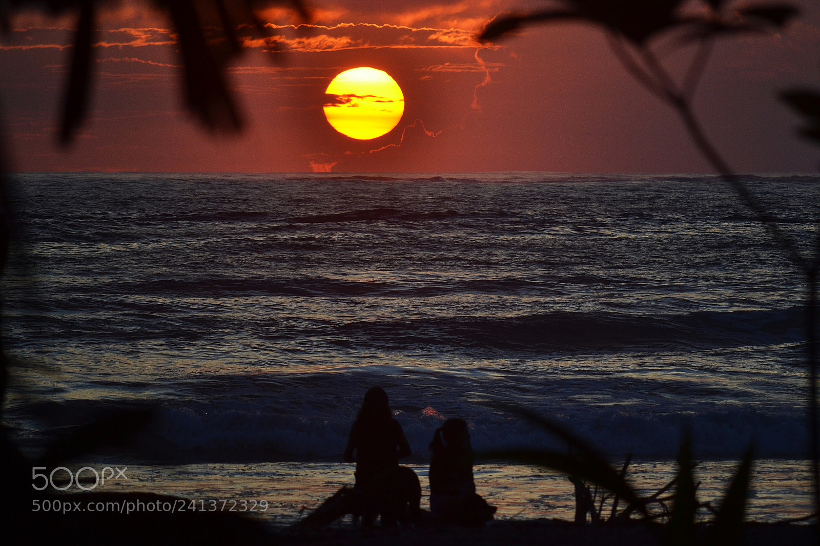 Nikon D3100 sample photo. Enjoying sunset photography