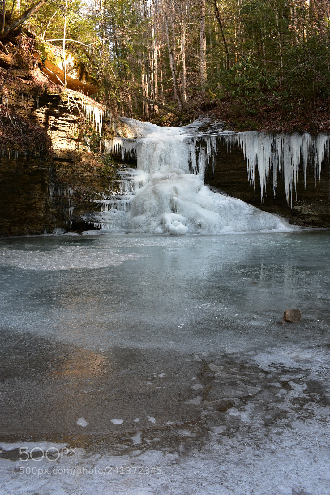 Nikon D3400 sample photo. Gabe s branch falls photography