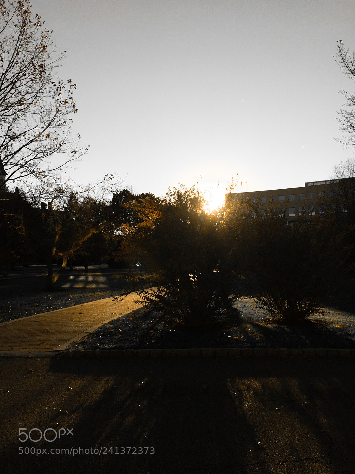 Apple iPhone 6 sample photo. Img photography