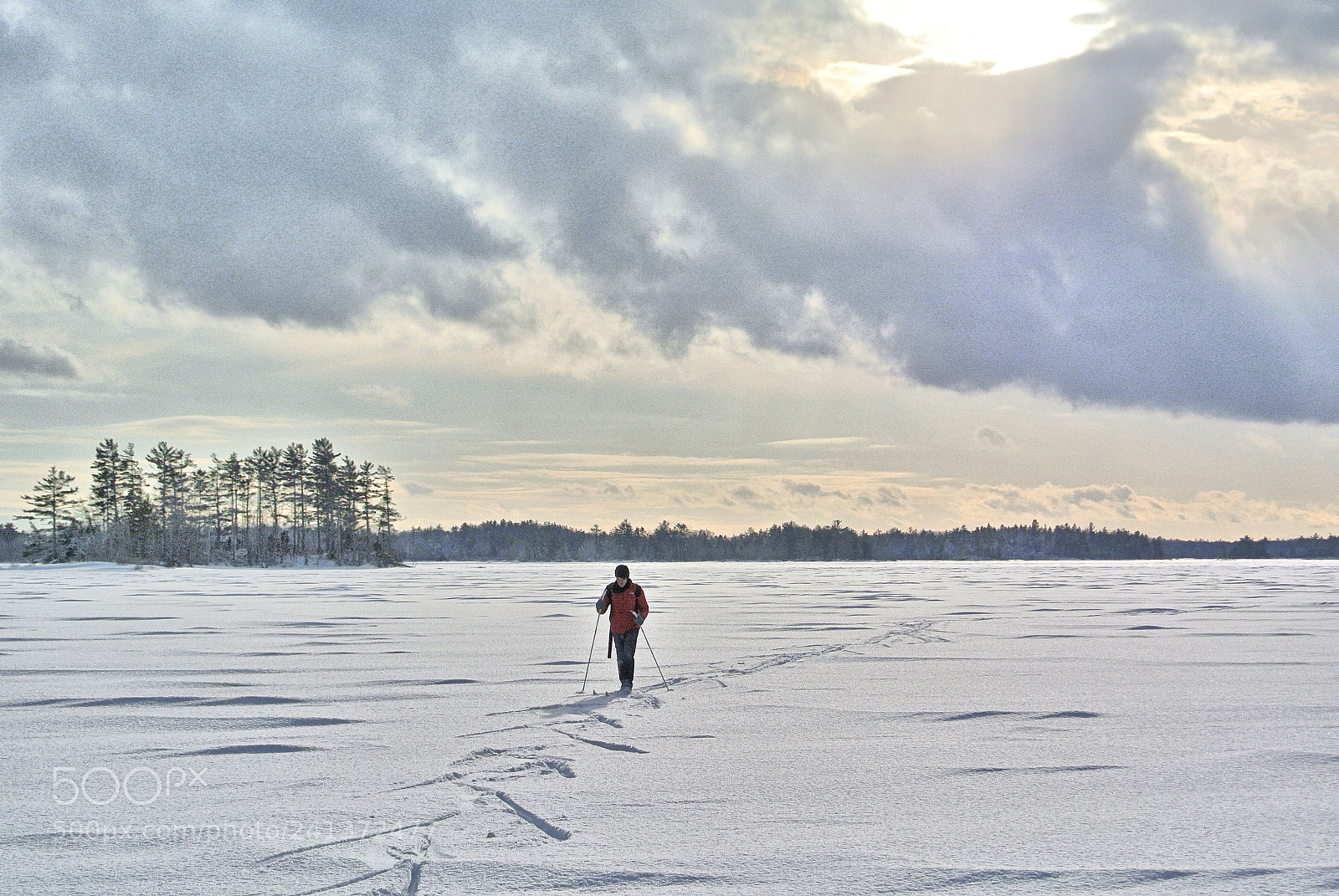 Nikon 1 V1 sample photo. Cross country skiing on photography