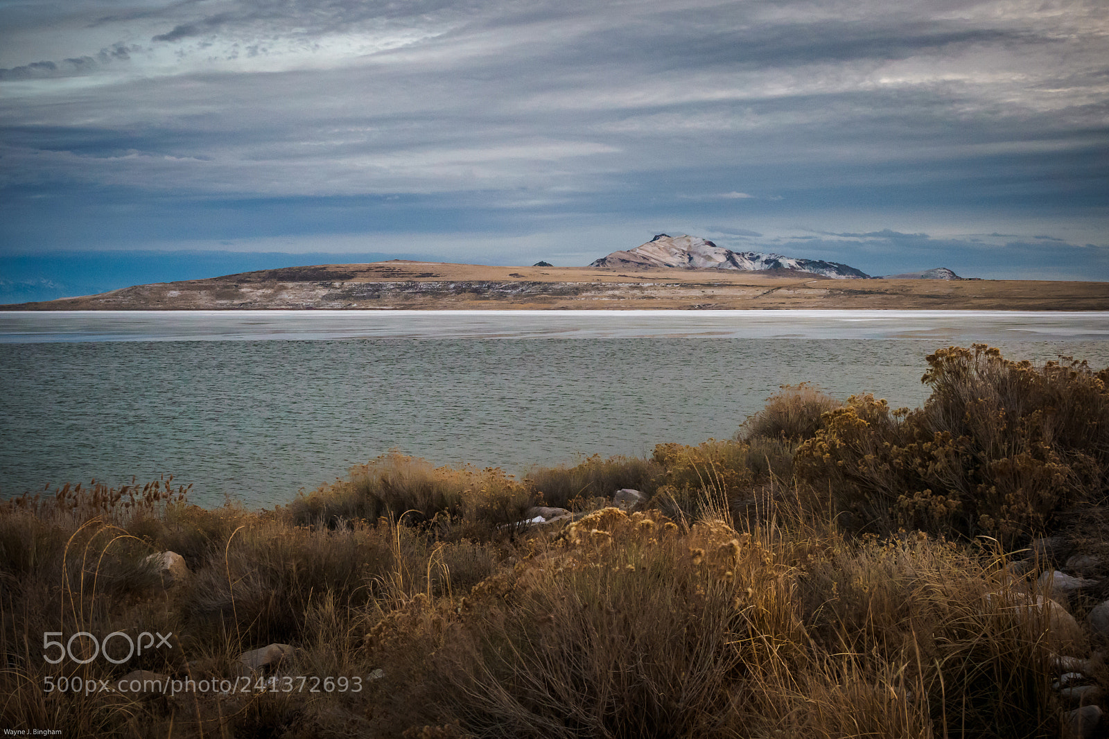 Olympus OM-D E-M1 Mark II sample photo. Antelope island photography
