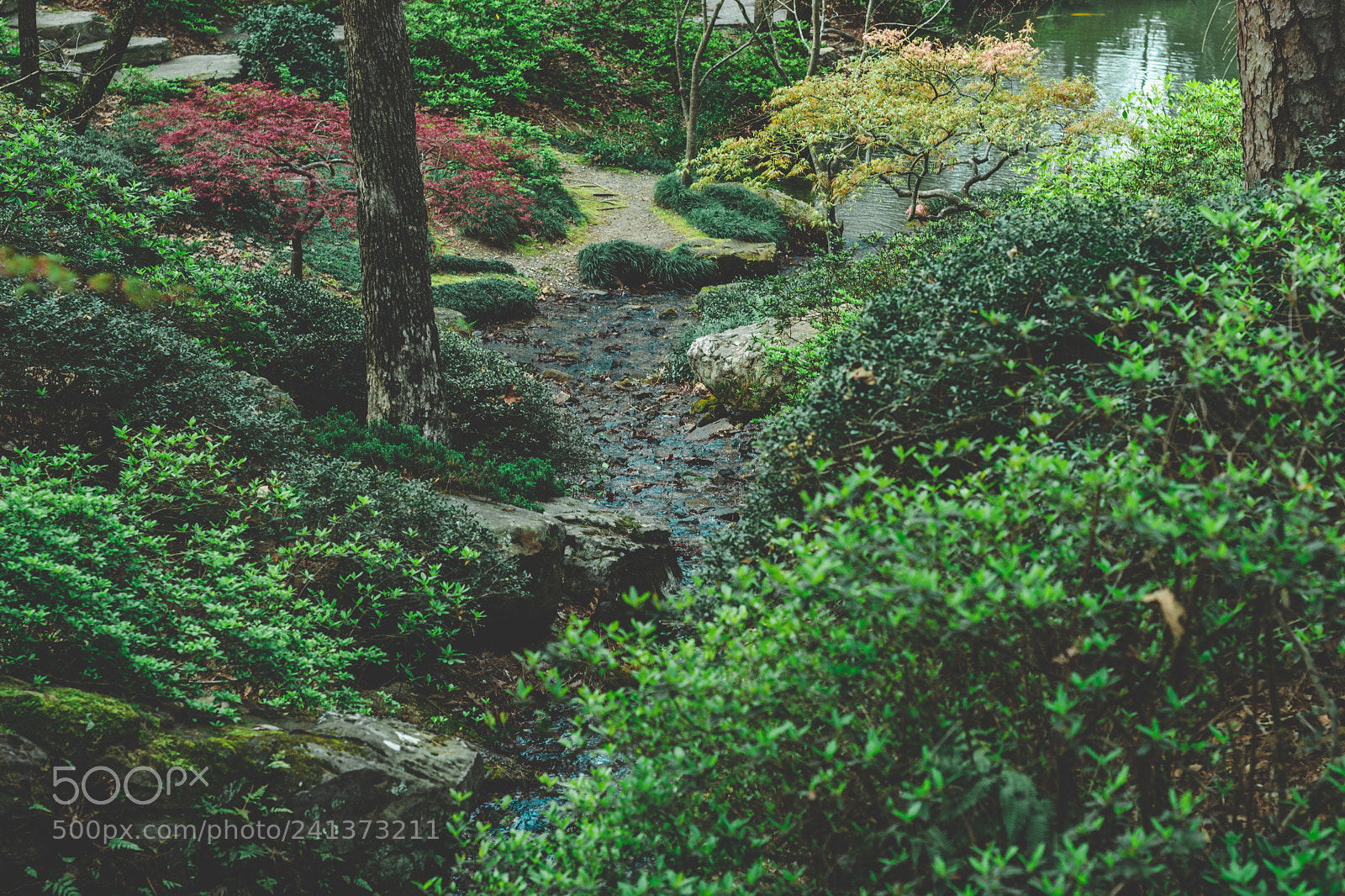Nikon D5500 sample photo. Hot springs photography