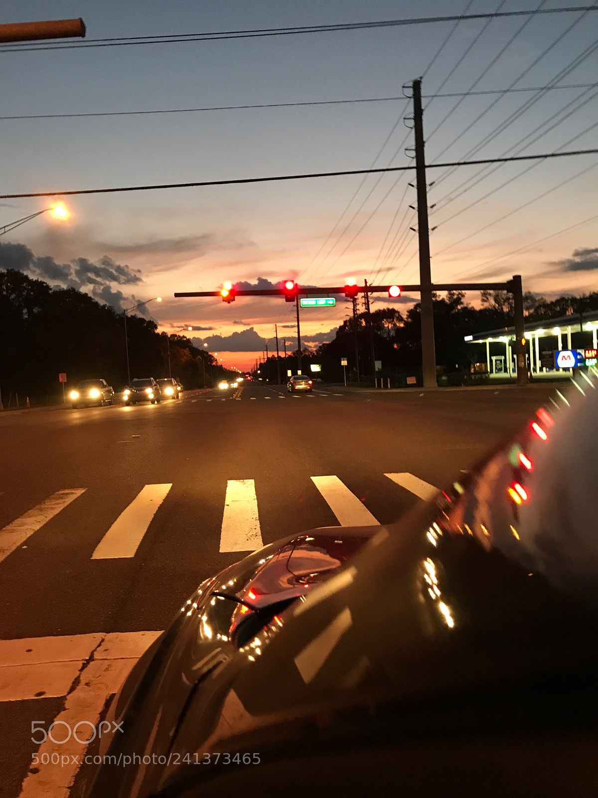 Apple iPhone 7 Plus sample photo. Untitled photography