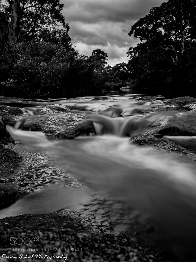 Nikon D810 sample photo. Cloudy skies and muddy photography