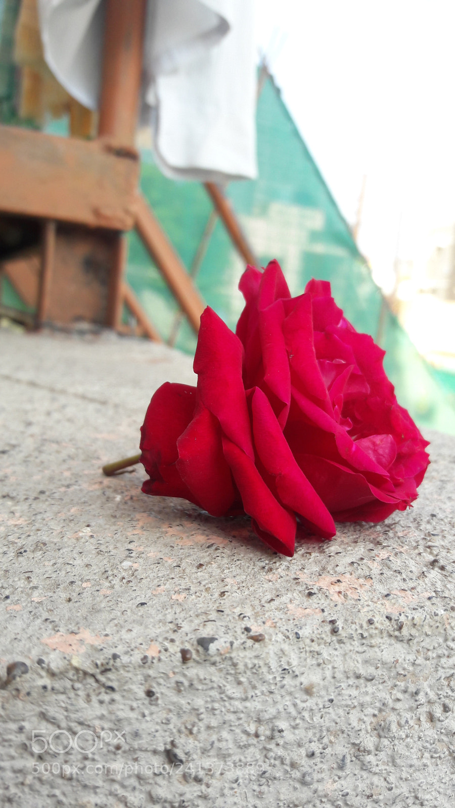 Samsung Galaxy J7 sample photo. Untitled photography
