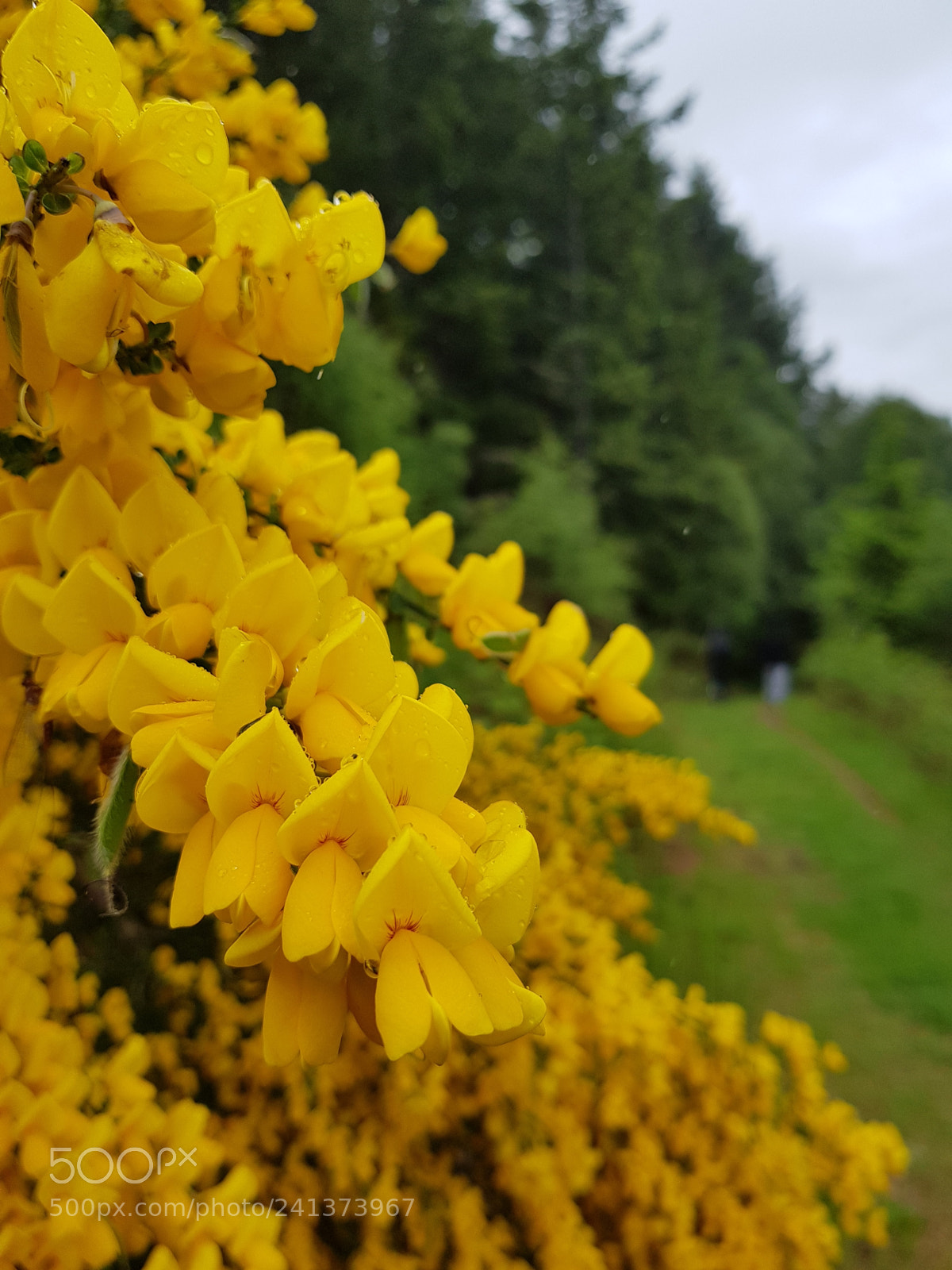 Samsung Galaxy S8+ sample photo. Untitled photography