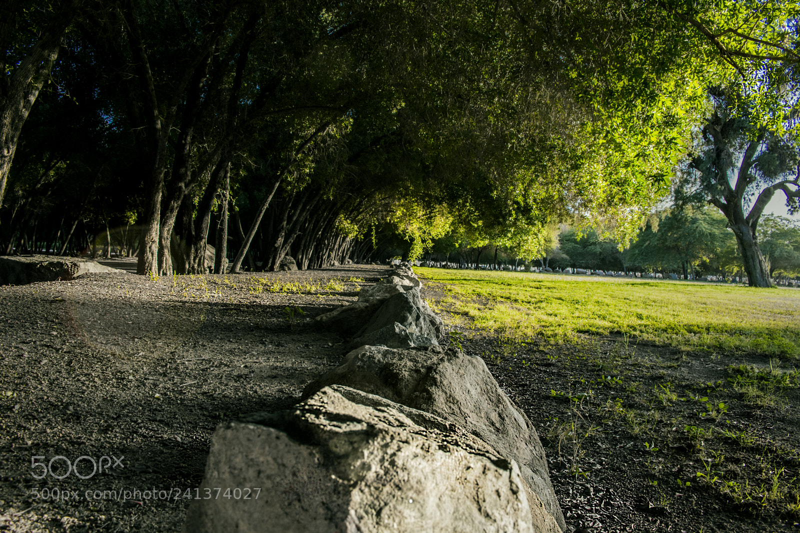 Nikon D3400 sample photo. Sqaam park photography