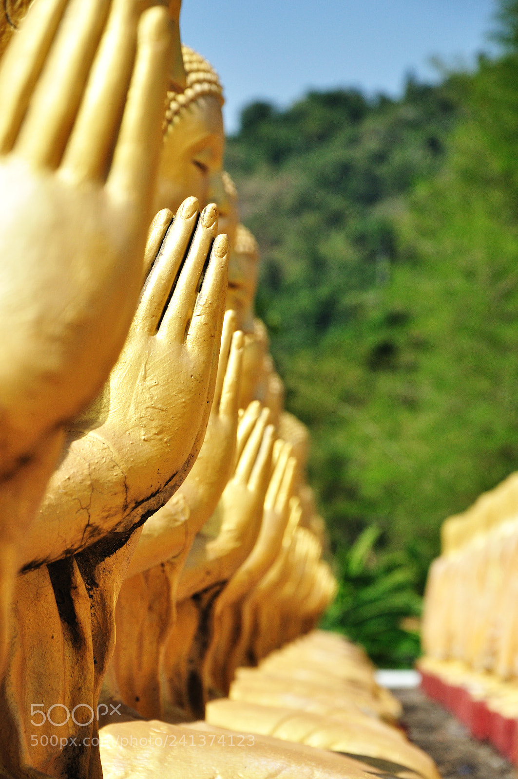 Nikon D90 sample photo. Untitled photography