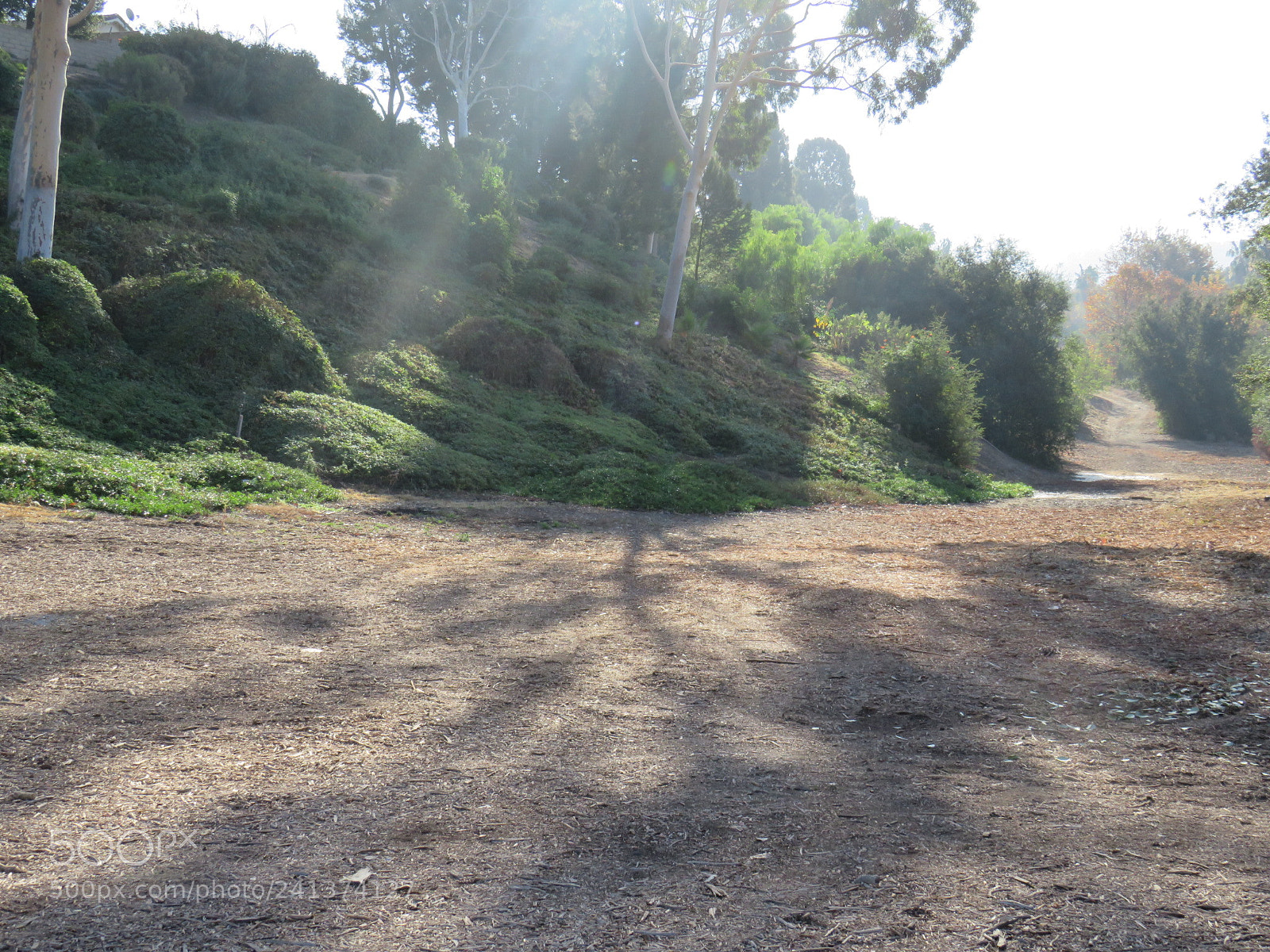 Canon PowerShot SX540 HS sample photo. The light that shines photography