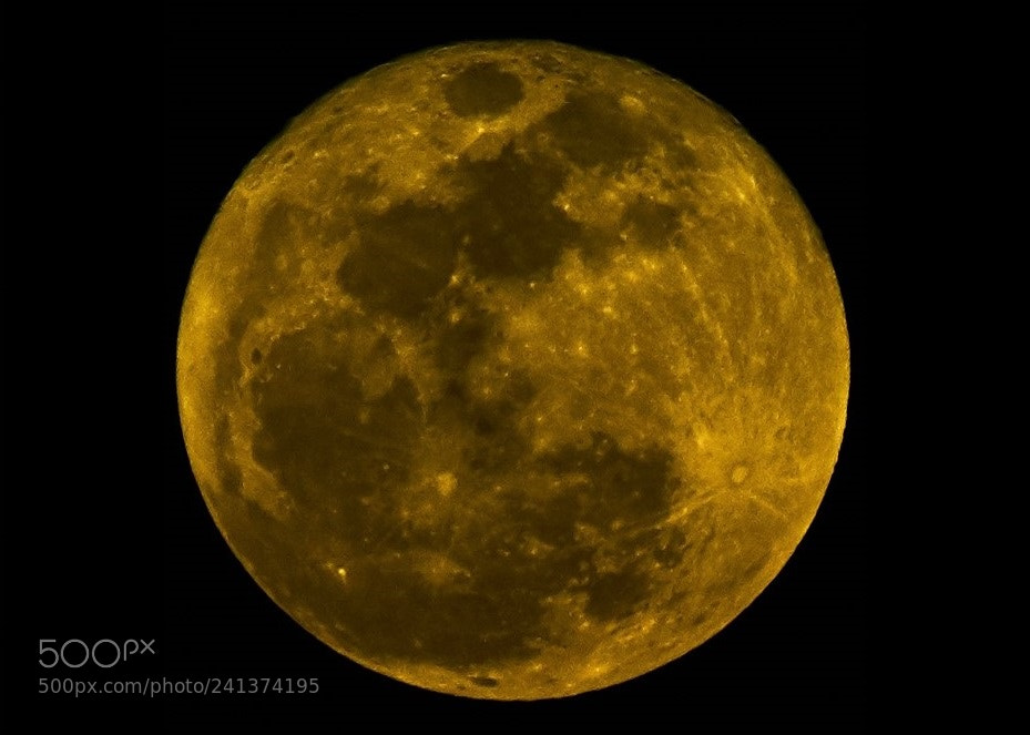 Sony SLT-A57 sample photo. Yellow harvest moon photography