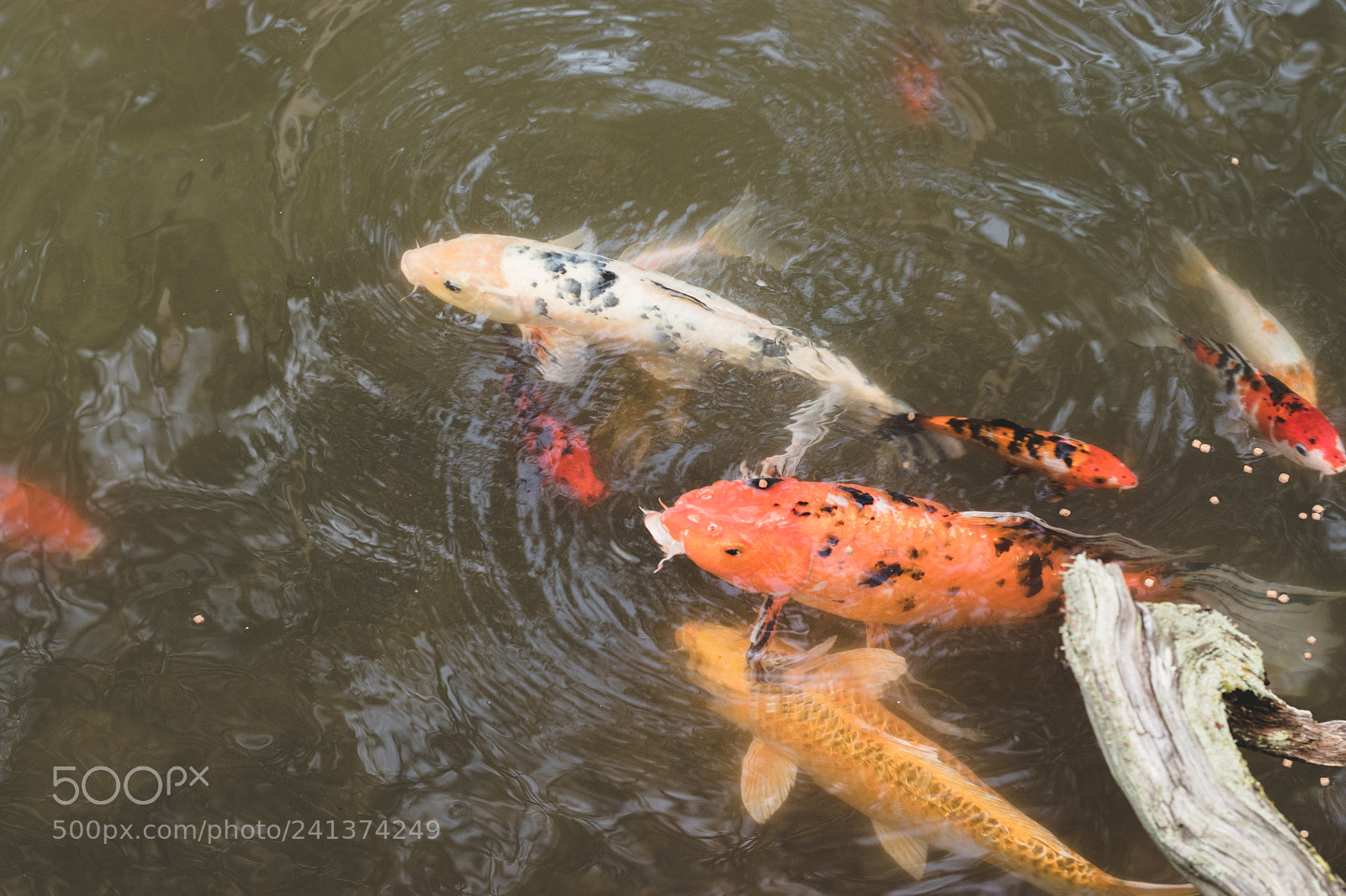 Nikon D5500 sample photo. Hot springs photography