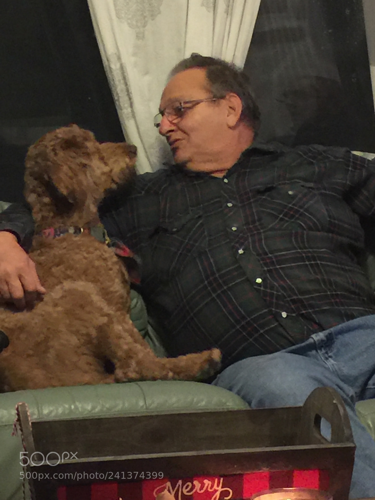 Apple iPhone 6 Plus sample photo. Conversation with a dog... photography
