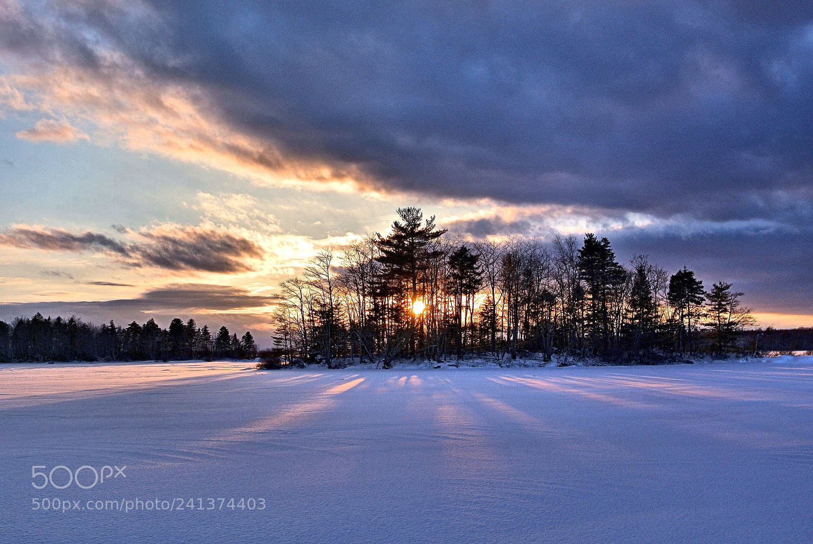 Nikon 1 V1 sample photo. Winter island in the photography
