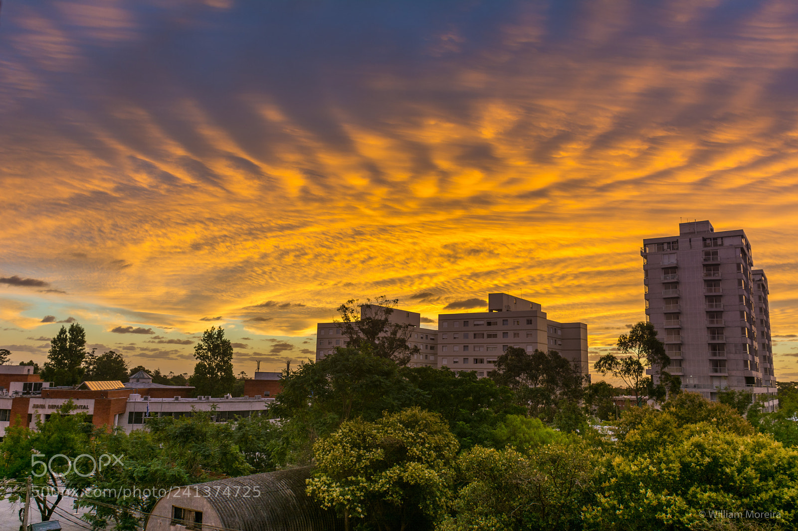 Nikon D7100 sample photo. Nubes de colores en photography