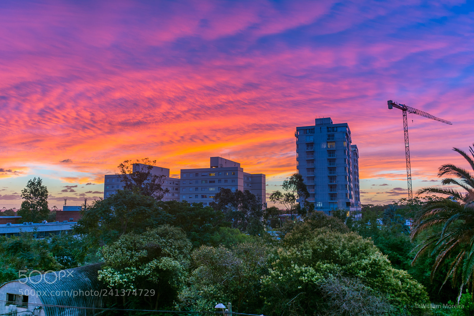 Nikon D7100 sample photo. Nubes de colores en photography