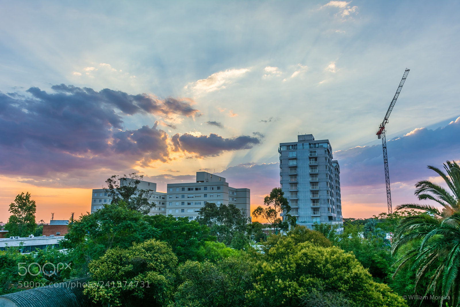 Nikon D7100 sample photo. Rayos de sol en photography