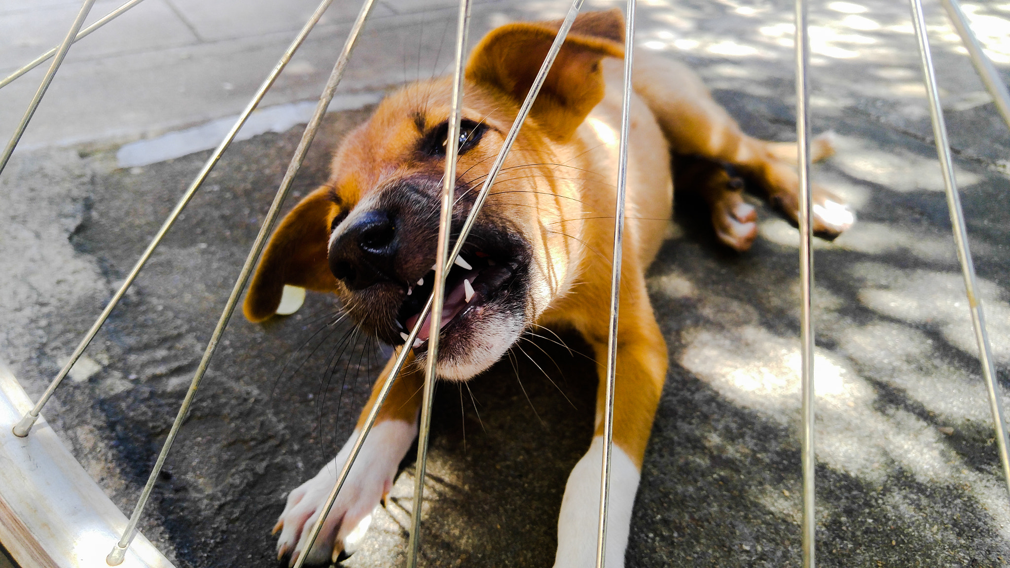 LG V10 sample photo